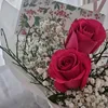 omalialafdal