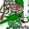 user79416109031981