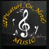 🎶picături_cu_note🎵