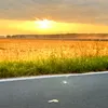 ugtfuhhi123