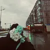 vgorode44