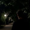 mozajj_mlr