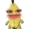 ywtypn