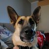 sharebear987