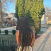 iyah444xo._