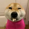 k_o_179