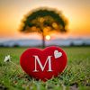 ahmedmalek059