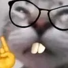 vutwtycm