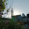 neniy636
