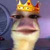 duckling474