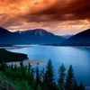 jamalmohamed4834