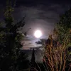 lunachiara009
