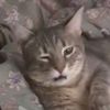 mishka__770