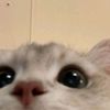 userwxfr9vwgcd