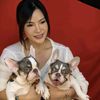 momkase_frenchbulldog