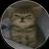 thaithegamer