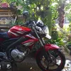 zidan_080502