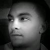 steve_sy_fj