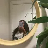 annemuyax