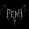 femi12_31_2009