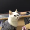 nhtrwng_