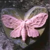 angel_stfu