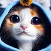 mikriii77