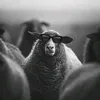 paranoidthoughtsonly