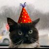 chmonya_russiancat