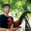 chris_tian0016