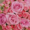 jasmin.akter.isha