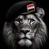 zead929