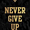 nevergiveup00018