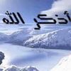 user92420074997787
