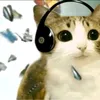 frankoceanlover.91169