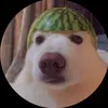 mopso8