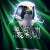 dy1u9a16ckts