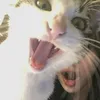 mariiyykkka