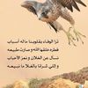 userh9wpfl7ex7