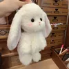 tc_2686