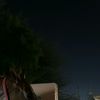 saffa_mohamuutt
