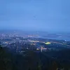 flo_zh24