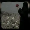 userscbf8l0hr0