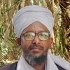 محمد علي أبو حسن