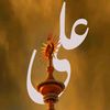mrsyed245