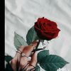 dy50d9ecdib9