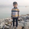 shahhussain3161