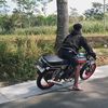 holl_41