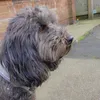 bellaboo533