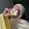 ritage_badawi